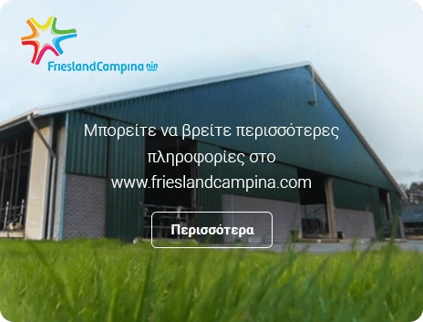 frisostory_findoutmore